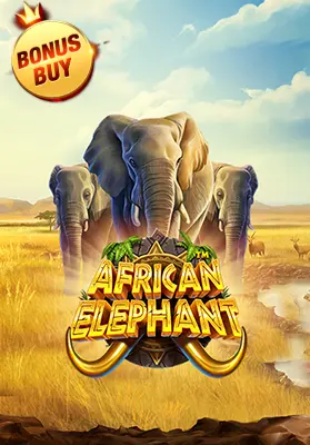 African Elephant